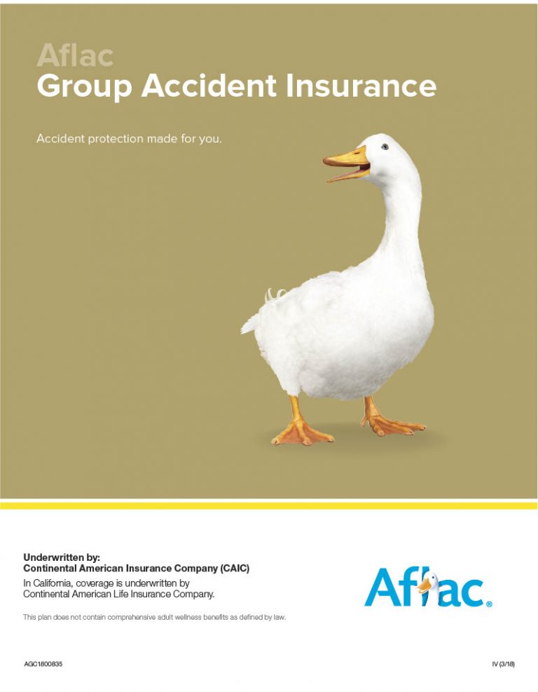 aflac-group-insurance-financial-report